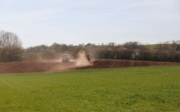 Agricoltura e zootecnia